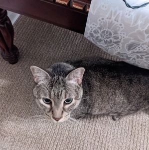 Meet your Posher, Wendy